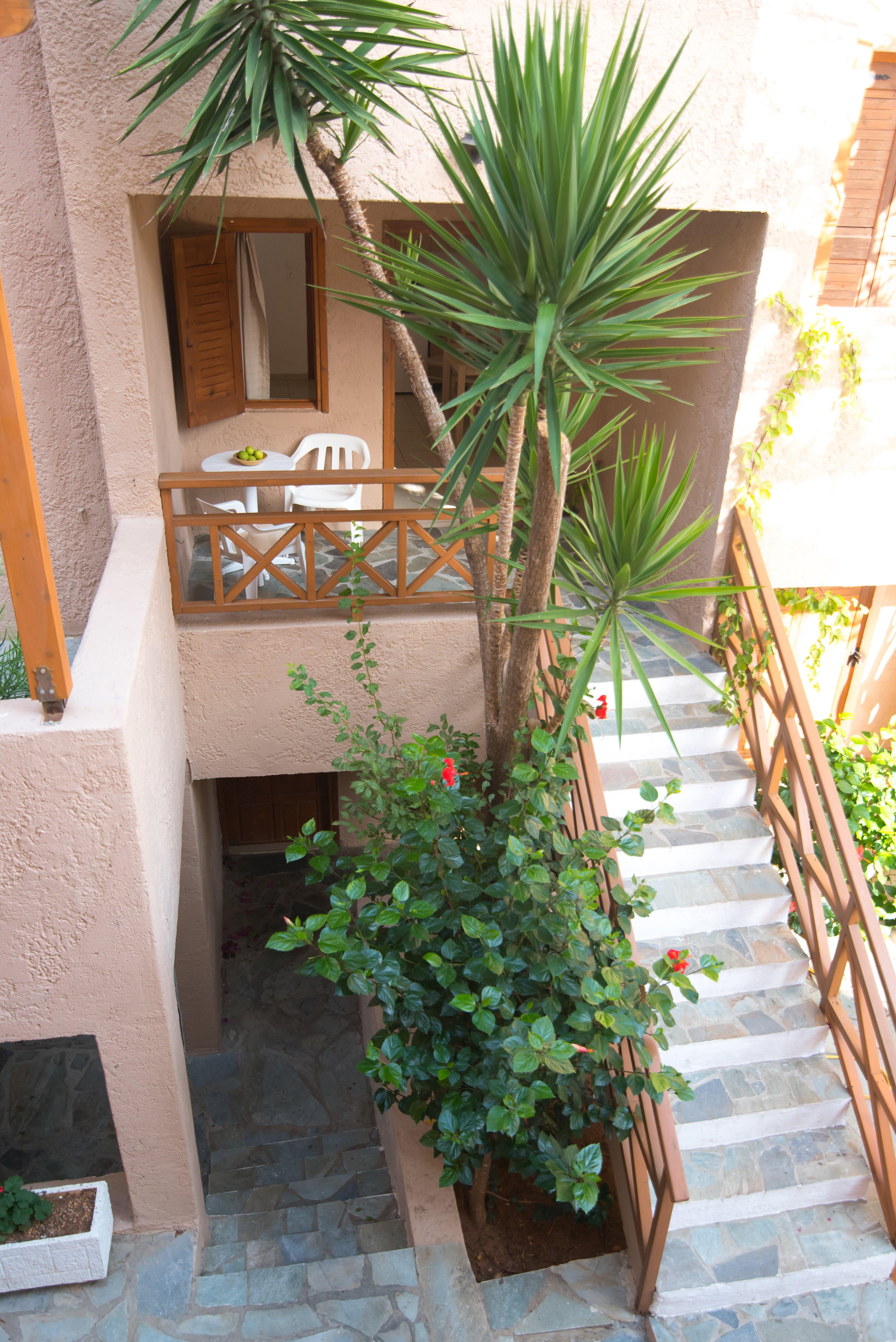 Hotel Anna Maria Malia Esterno foto